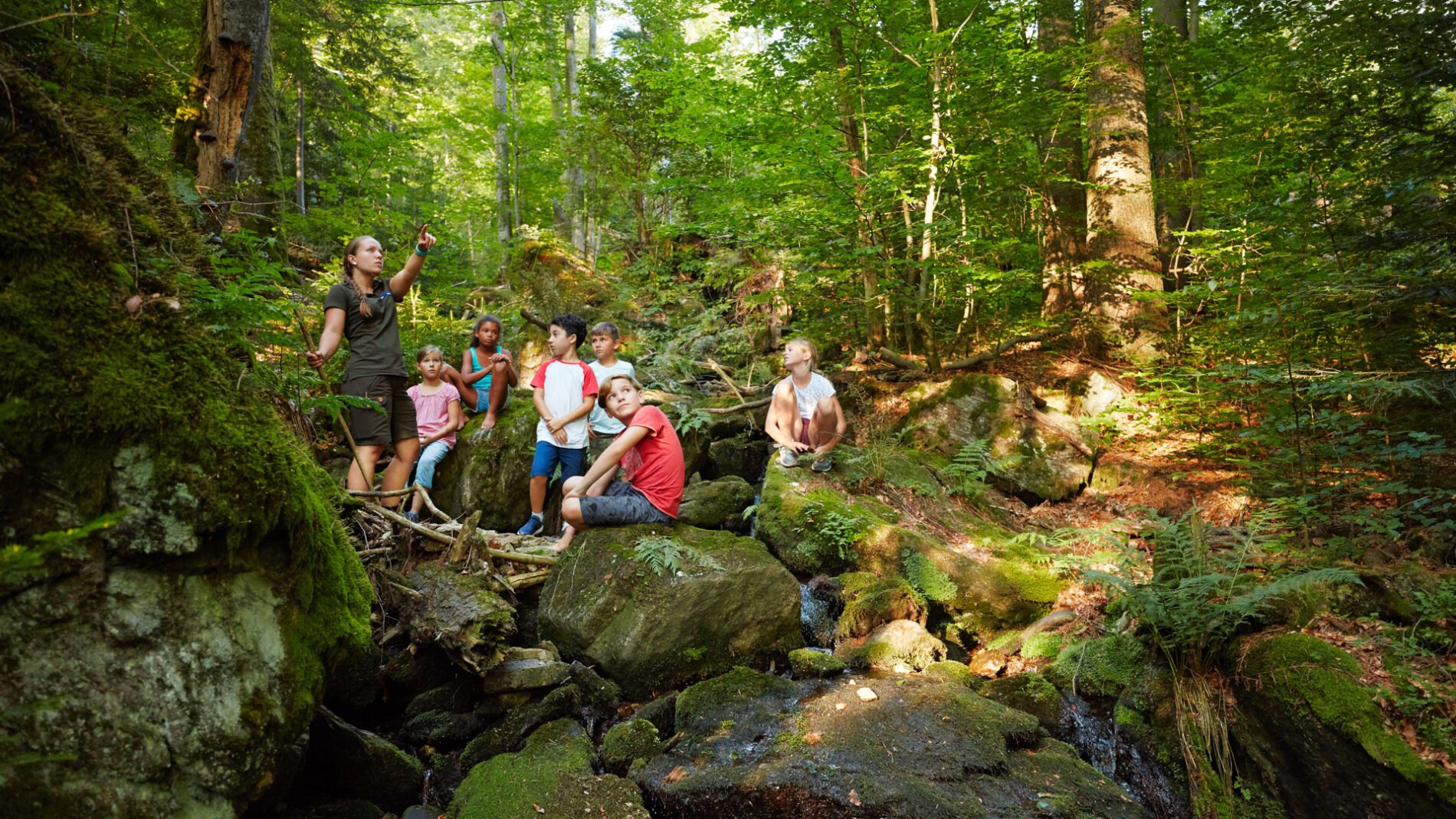 byTM_BayrWald_18_6720